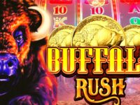 Buffalo Gold Rush
