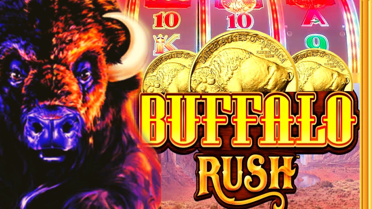 Buffalo Gold Rush